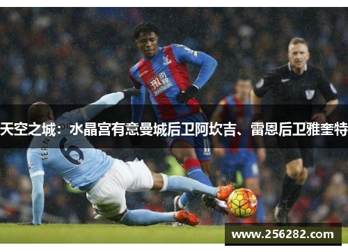 天空之城：水晶宫有意曼城后卫阿坎吉、雷恩后卫雅奎特